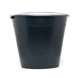 1261