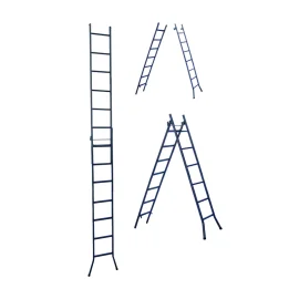 15596