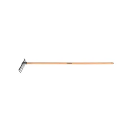 19036