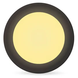 33885