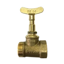 5541